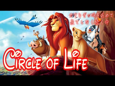 歌詞付き/日本語】サークル・オブ・ライフ（Circle of Life Japanese