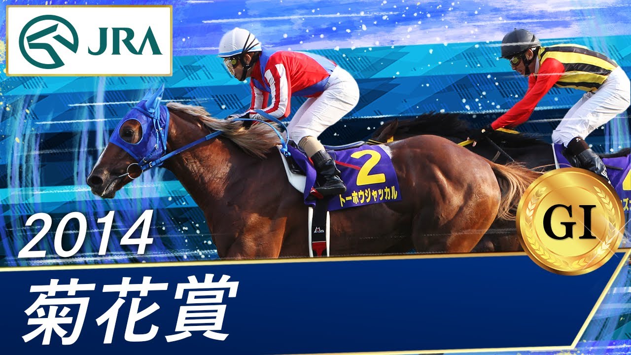 トーホウジャッカル (とーほうじゃっかる)とは【ピクシブ百科事典】