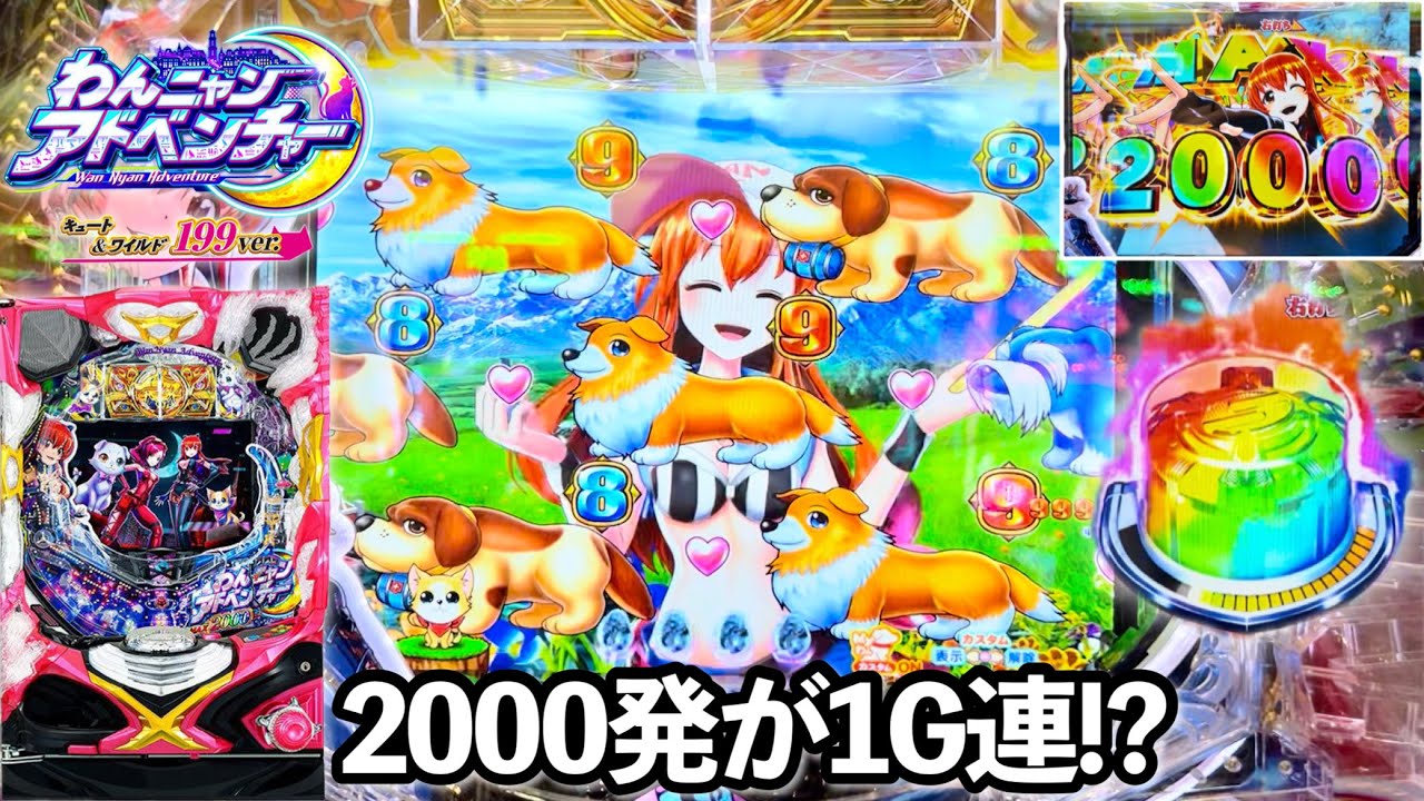 新台【Pわんニャンアドベンチャー】1/199なのに2000発の1G連が大爆発