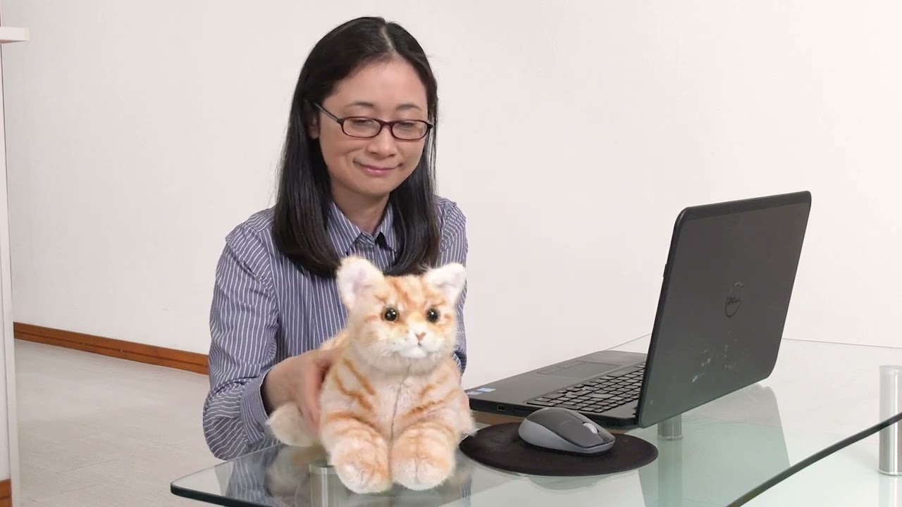 猫型ロボットと一緒に暮らそう。「なでなでねこちゃんEX・長毛の