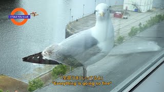 ラブリーサマーちゃん｜アルバム『THE THIRD SUMMER OF LOVE』アナログ