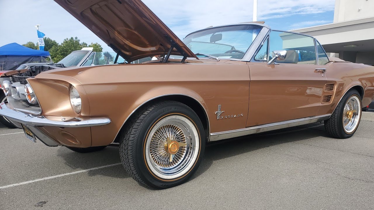 狂鉢 MAD ビンテージゴールド 狂鉢 MAD plants 【公式通販】 狂鉢 MAD