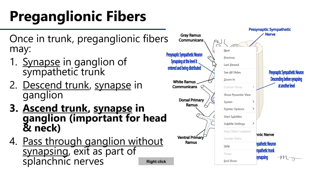 maxresdefault.jpg?sqp=-