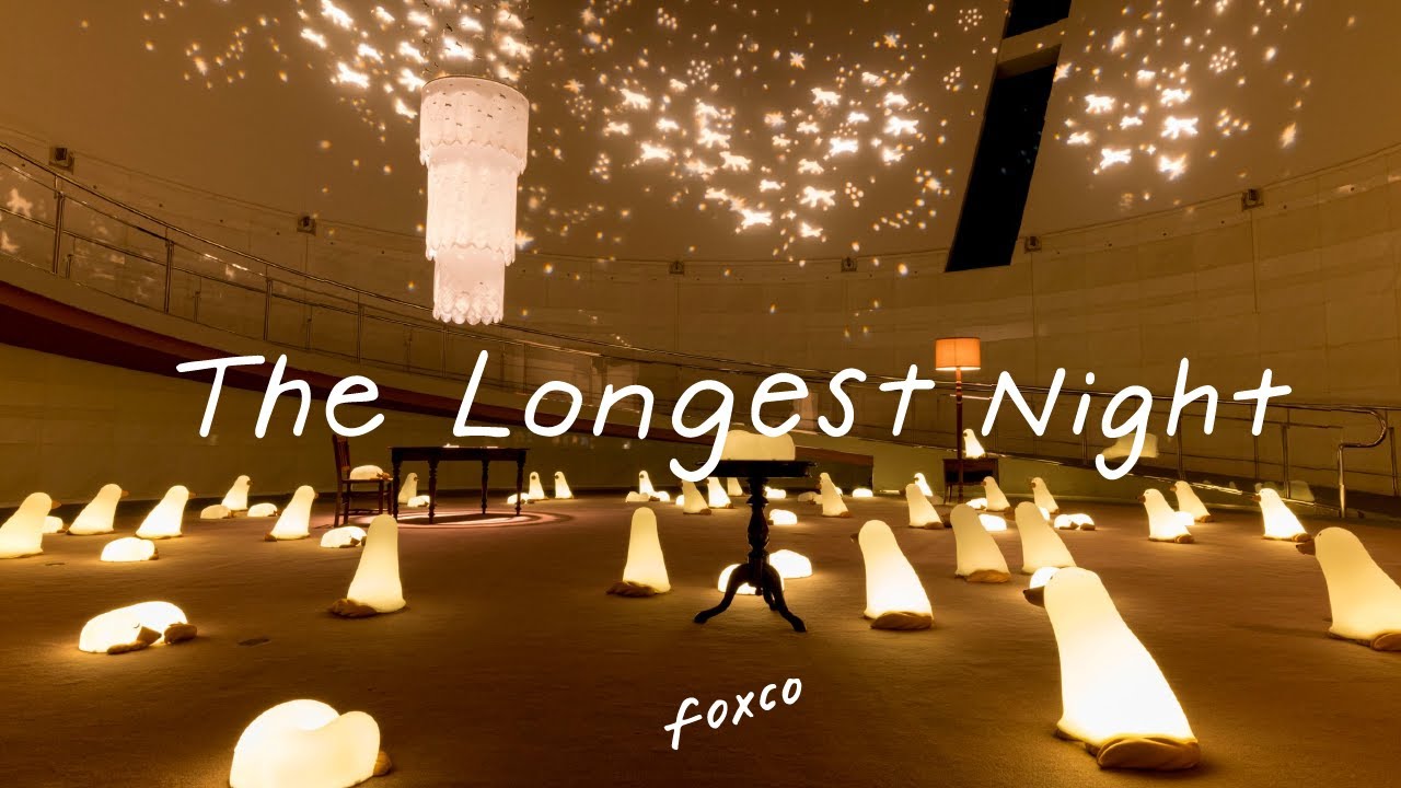 foxco solo exhibition 