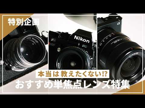 Special Feature] We will introduce recommended lenses carefully