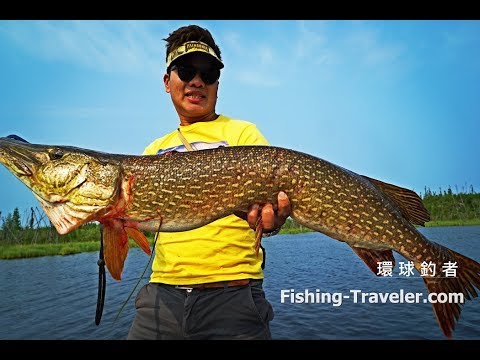 Big Pike 93cm from Reindeer Lake, Canada by Huerco XT510-4C - YouTube