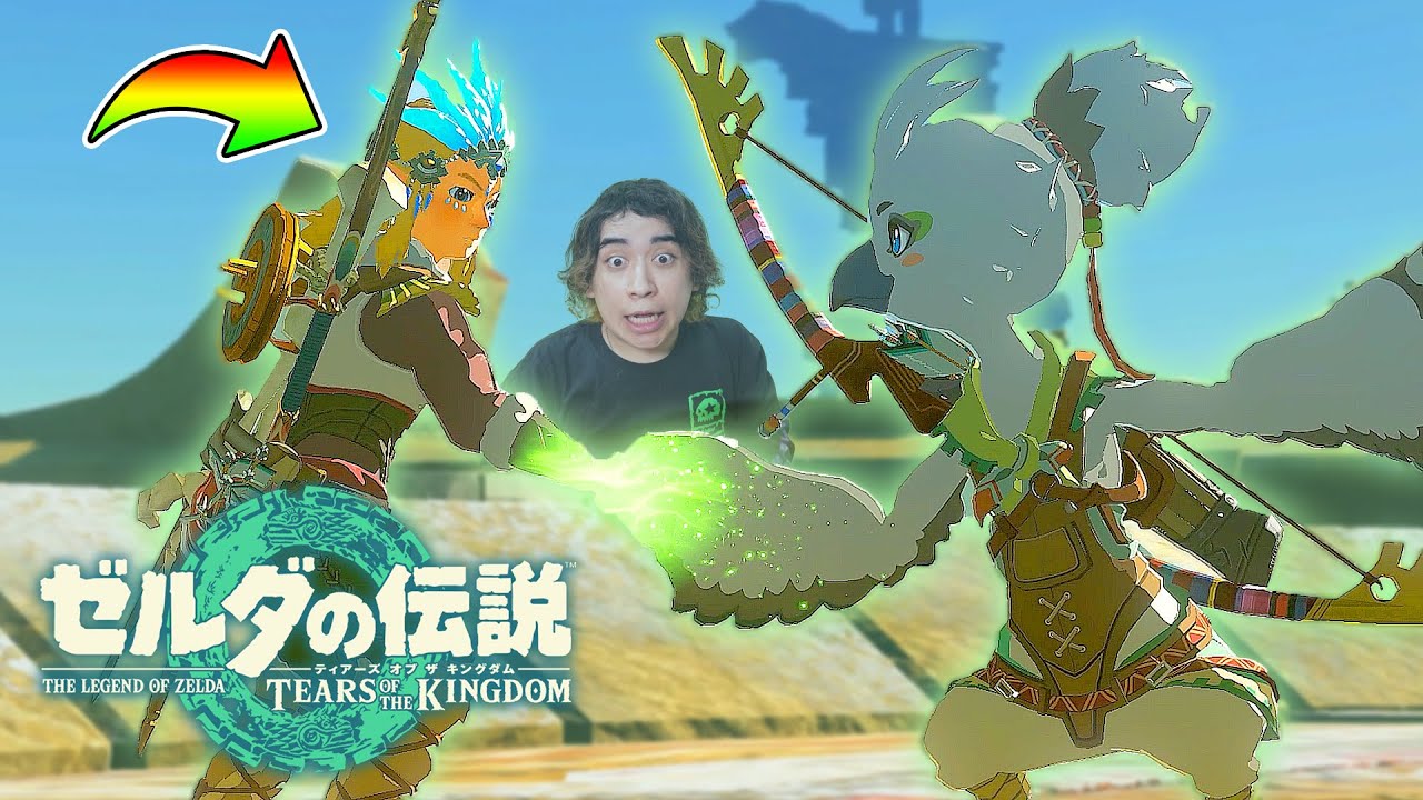 チカラをあわせて🤝🪶【ゼルダの伝説 ティアーズ オブ ザ キングダム