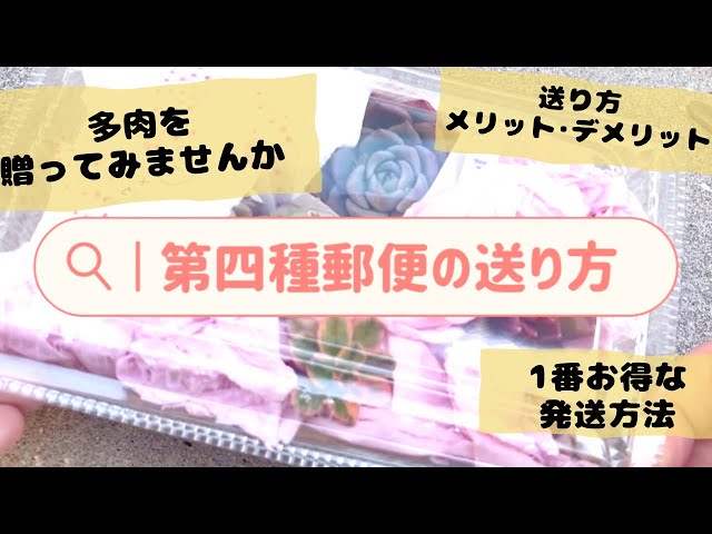 四種郵便で植物を贈ろう☘️知ってると得する❓ - YouTube