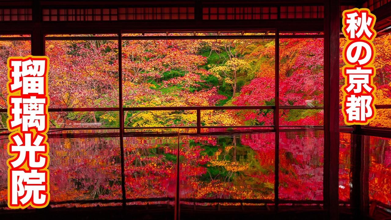 Kyoto] Spectacular autumn view of Ruriko-in Temple with autumn