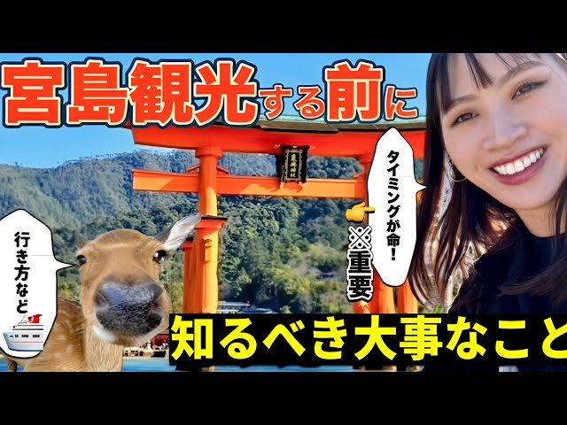 宮島観光】知らずに行くと損をする‼️無駄なく100%楽しむための街歩き