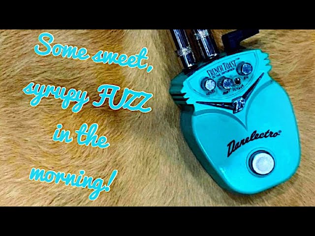 Danelectro French Toast Octave Fuzz - Danelectro Food Series - YouTube