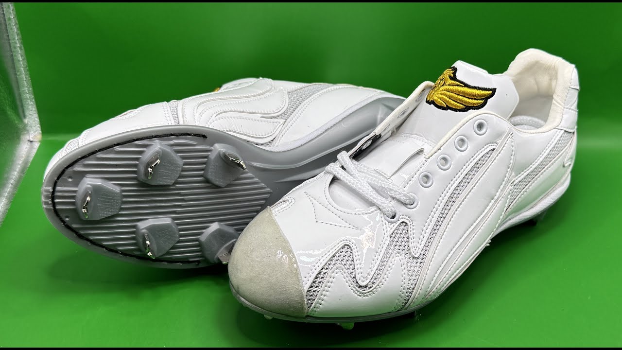 1297回何時応援有難うございます、今日は8月6日に兵庫県のジェニュイン