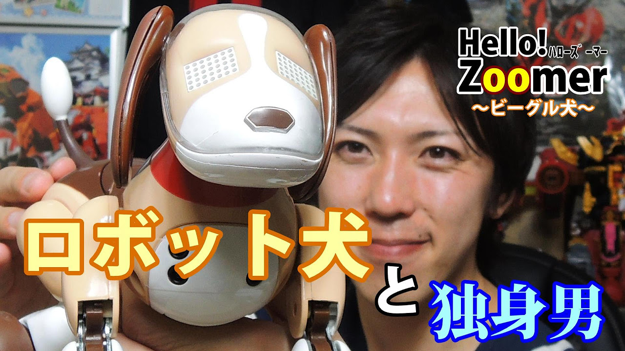ロボット犬がやってきた！Hello!Zoomer(ハロー！ズーマー) - YouTube