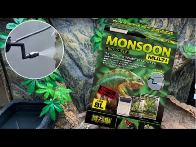 買って良かった！エキゾテラのモンスーンマルチ❗️ - YouTube