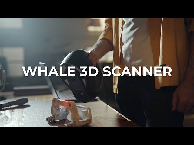 大きな物から小さな物まで高精度3Dスキャン | 3DMakerpro『Whale