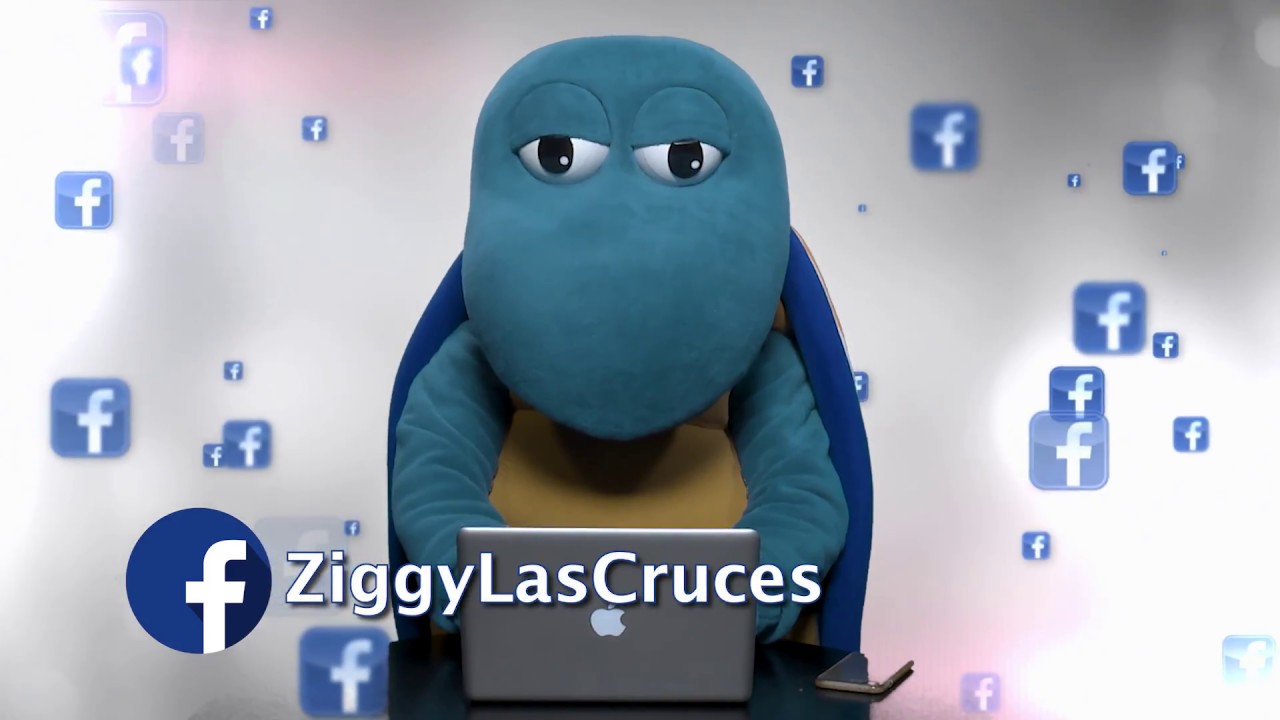 Ziggy Online - YouTube