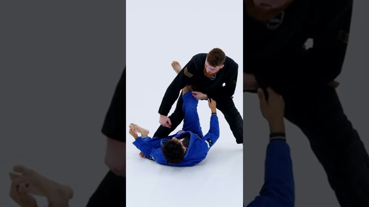 キーナンコーネリアス THE WORM GUARD 4 DISC SET柔術教則 Worm Guard