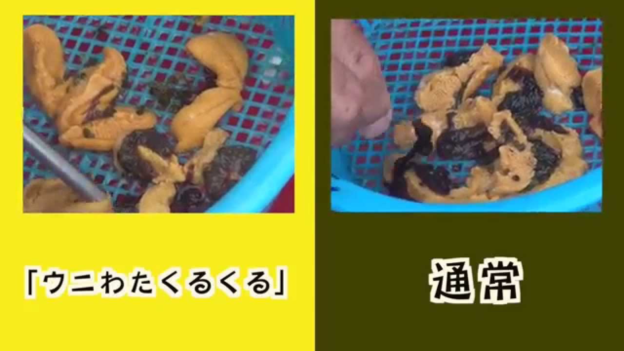 ウニのわた(内臓)をくるくる取る、ウニわたくるくる | ウニくる(有限