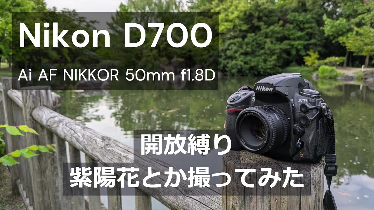 Nikon D700｜Ai AF NIKKOR 50mm f/1.8D｜開放で紫陽花とか - YouTube