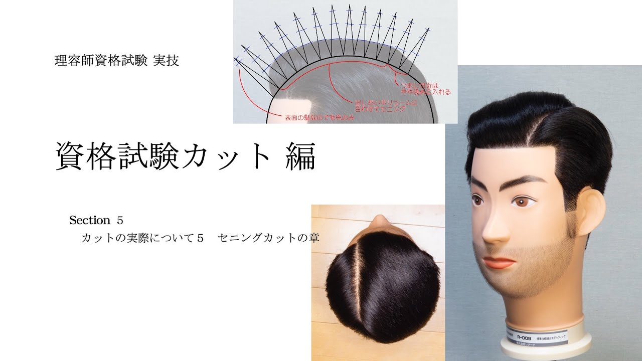 理容国家試験カット本番5 セニングカット編 - YouTube