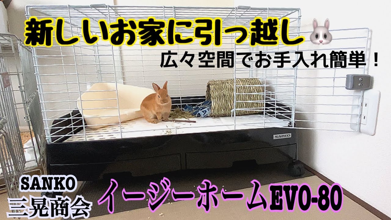 新しいケージにお引越し！ウサギ用ケージを組み立てた。 - YouTube