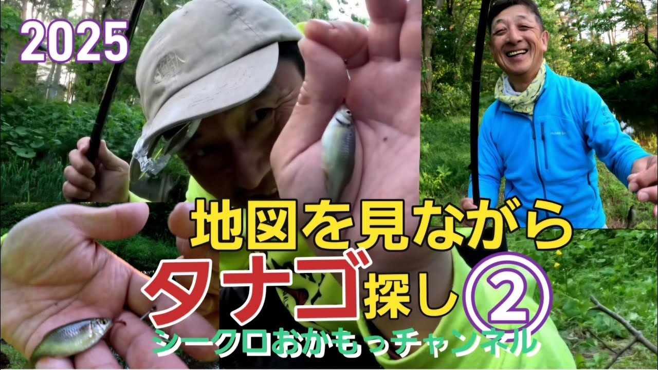 タナゴ釣り]地図を見ながらタナゴ探し2025②#ヤリタナゴ#タナゴ釣り