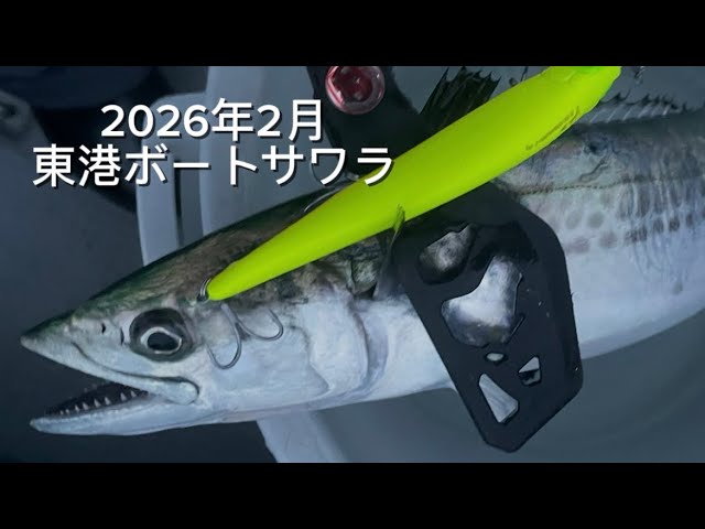 衝撃】新潟東港のポテンシャルが凄すぎる！ジャーキングで狙う、ボート