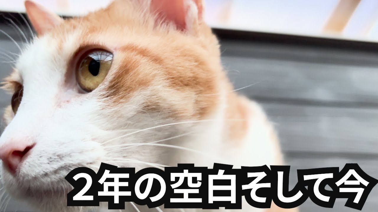 今まで言えずにごめんなさい。再出発します。 - YouTube