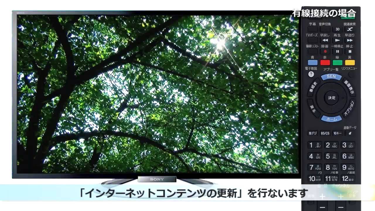 ソニー 〈ブラビア〉インターネット接続方法（有線LAN接続）2013年