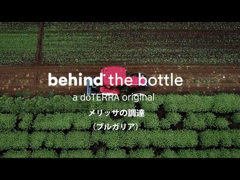 メリッサ - doTERRA TIMES