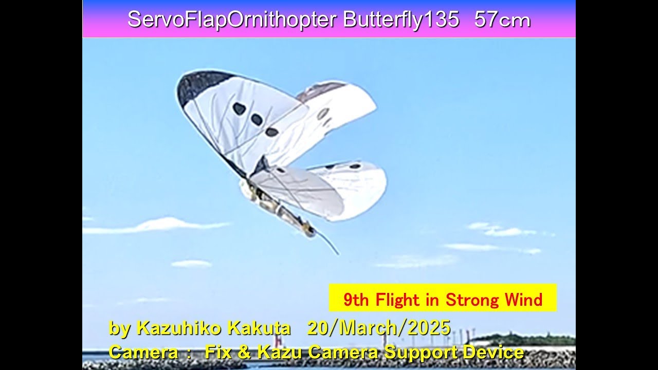 MTG 羽ばたき飛行機械 FOIL MPS 全面光沢 マスピ Foil】《羽ばたき