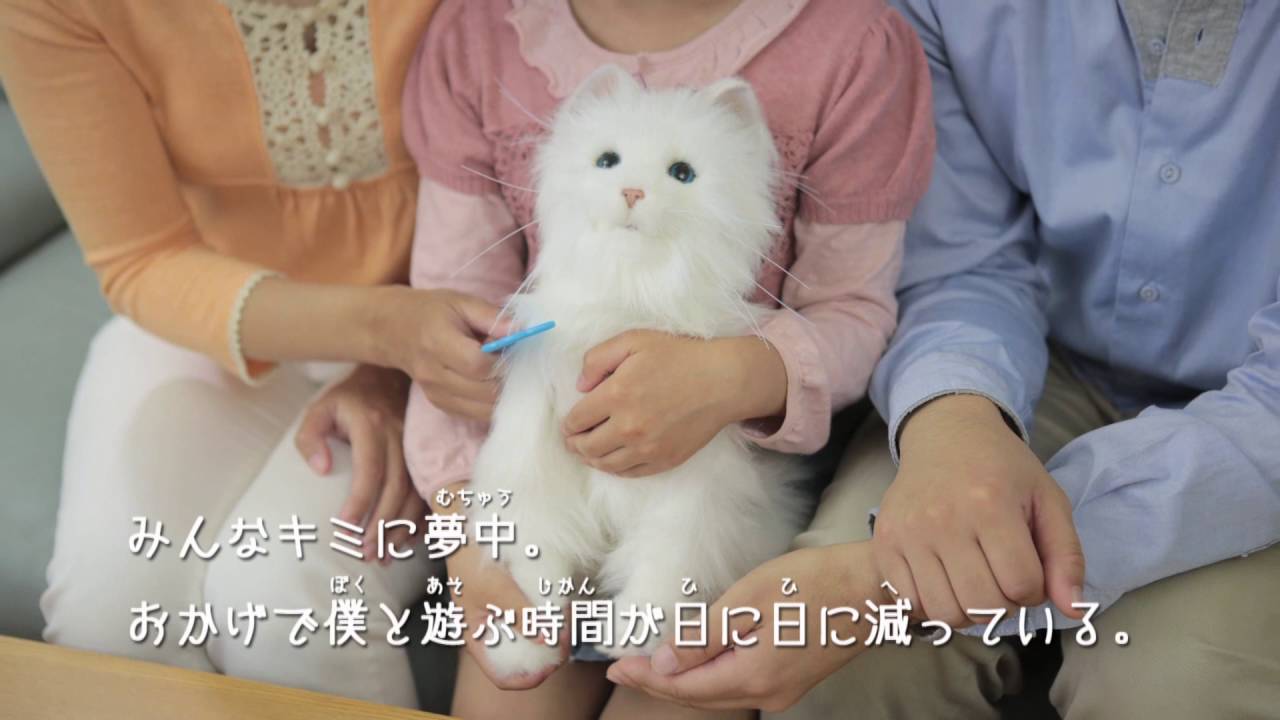 夢ねこプレミアム - YouTube