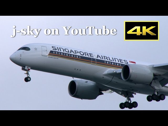 4K] Singapore Airlines Airbus A350-900 - Strong Crosswind Hard