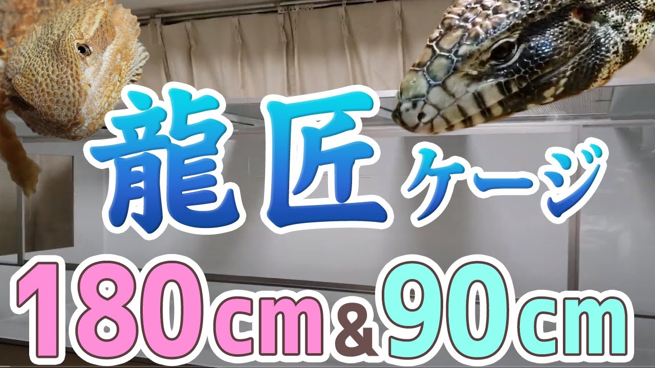 龍匠さんの爬虫類用ケージが届きました | 爬虫類飼育ブログ