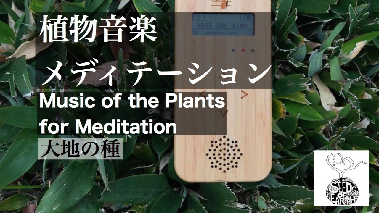 植物音楽メディテーション/Music of the Plants for Meditation - YouTube