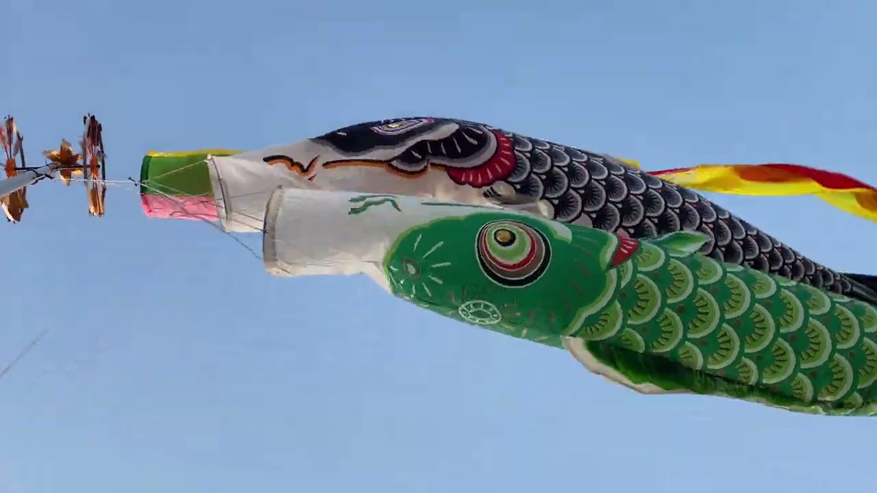 maxresdefault.jpg?sqp=-