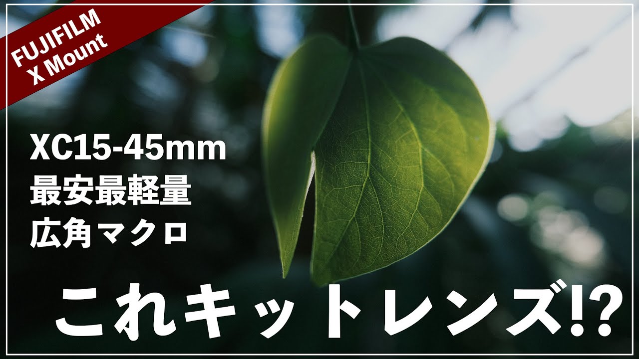 Sample photos included] The best value for money FUJIFILM zoom