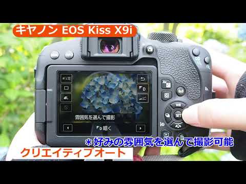 キヤノン EOS Kiss X9i EF-S18-135 IS USM レンズキット | デジタル