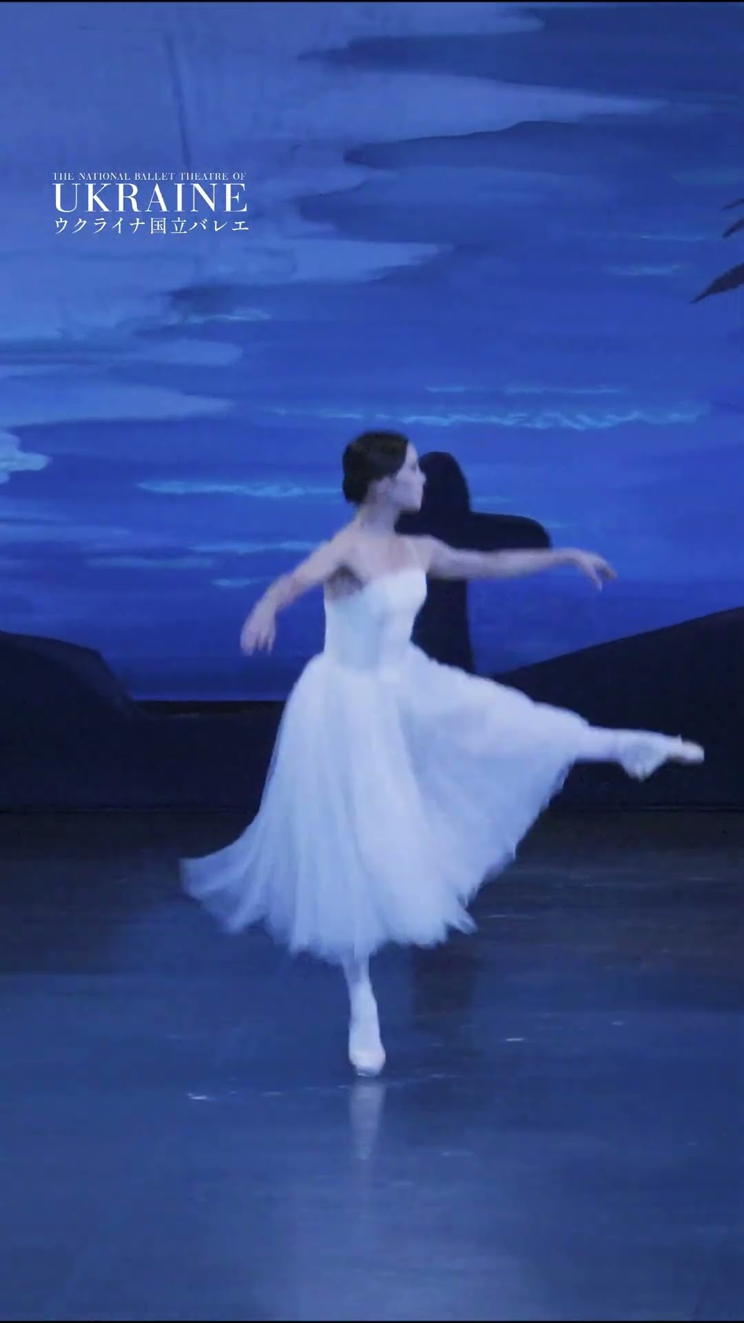 Madoka Sugai x National Ballet of Ukraine] From Act 2 of 