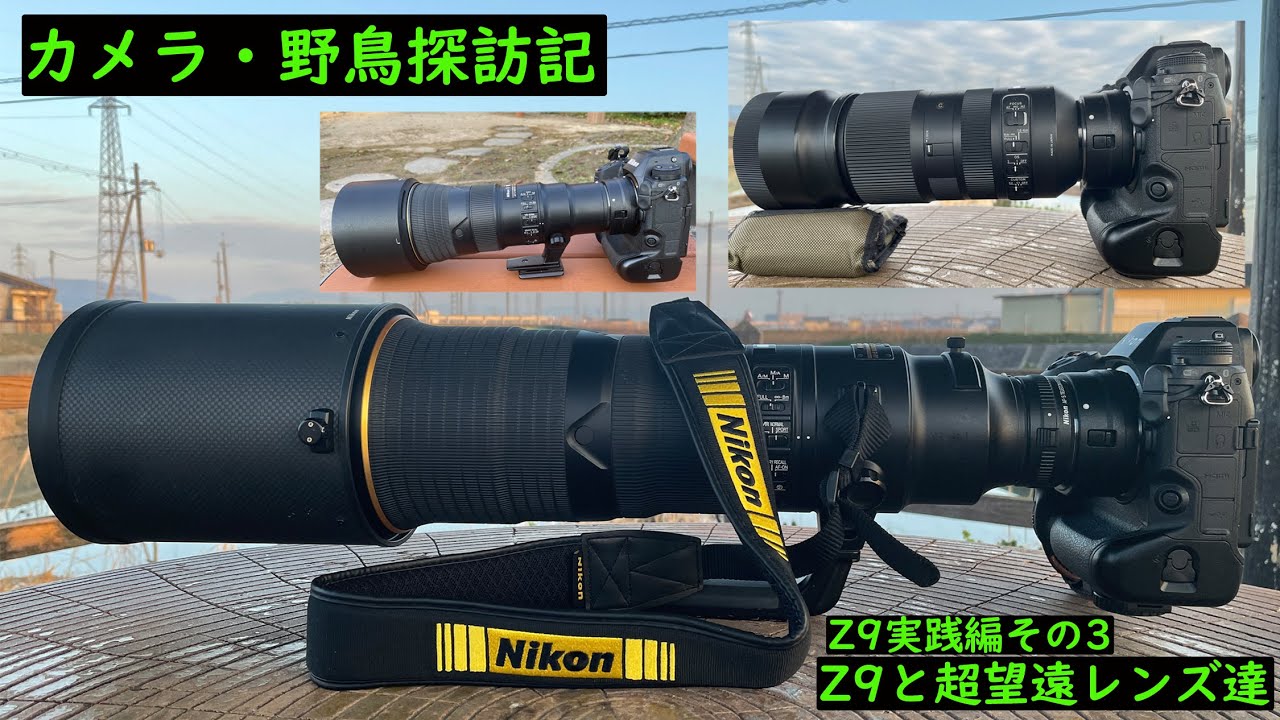 カメラ・野鳥探訪記 Z9実践編その3 サードパーティー製も含めた超望遠
