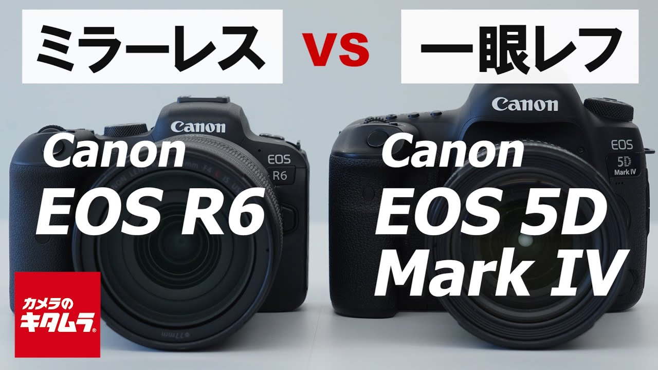キヤノン EOS R6 ボディ | ミラーレス一眼