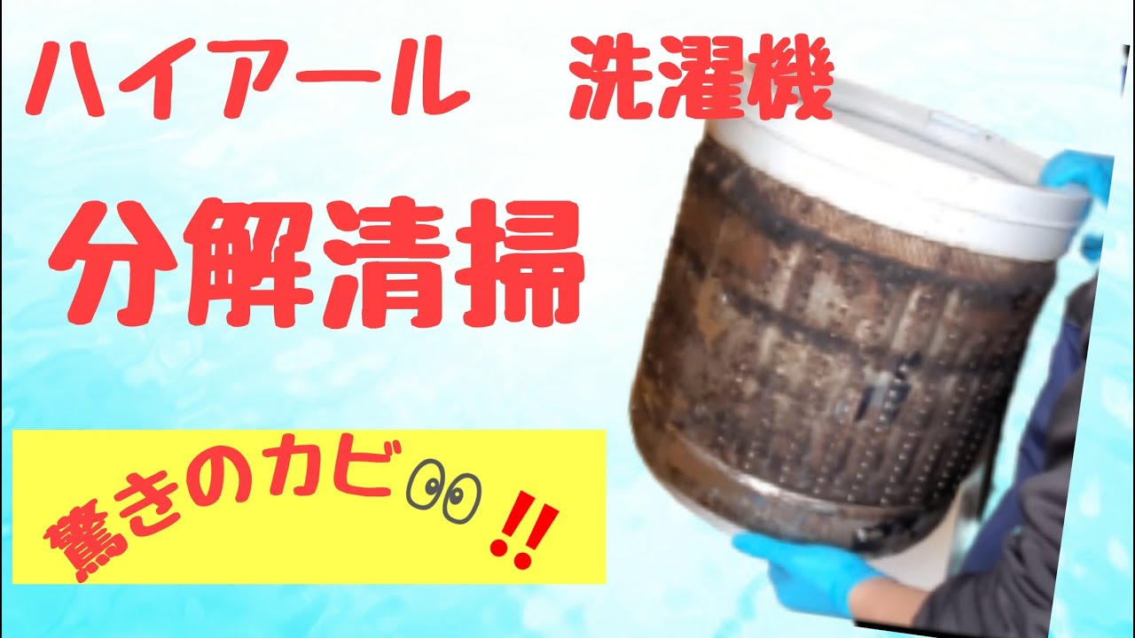 4年でカビだらけ！ハイアール洗濯機分解洗浄 #洗濯機クリーニング#カビ