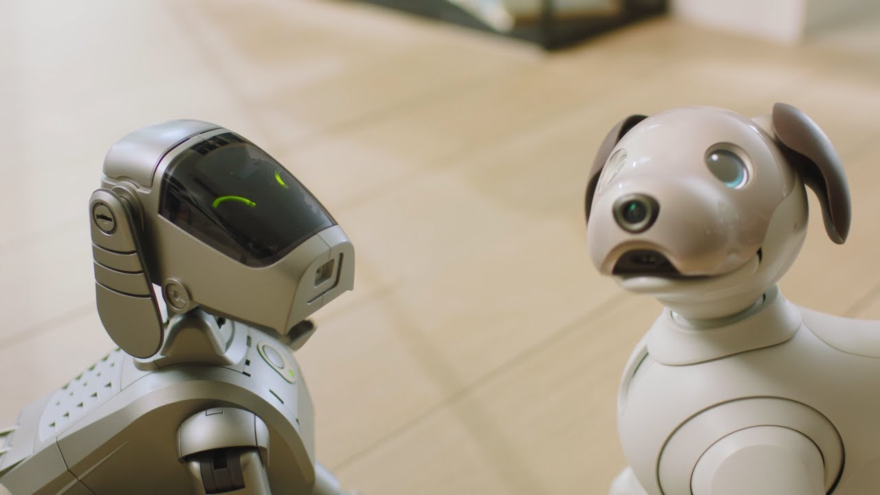 aibo 25th anniversary | Crafting stories together, now and beyond