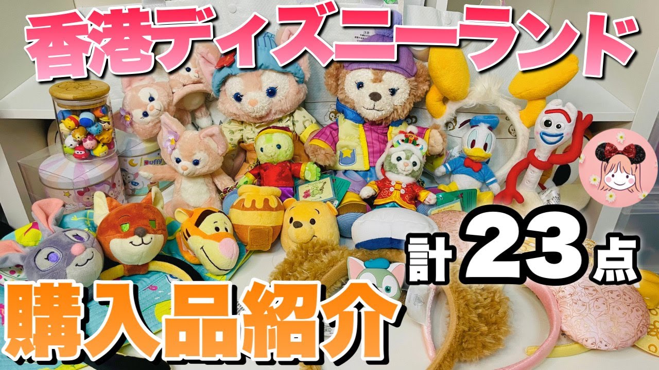 Luxurious] Introducing the items I bought at Hong Kong Disneyland