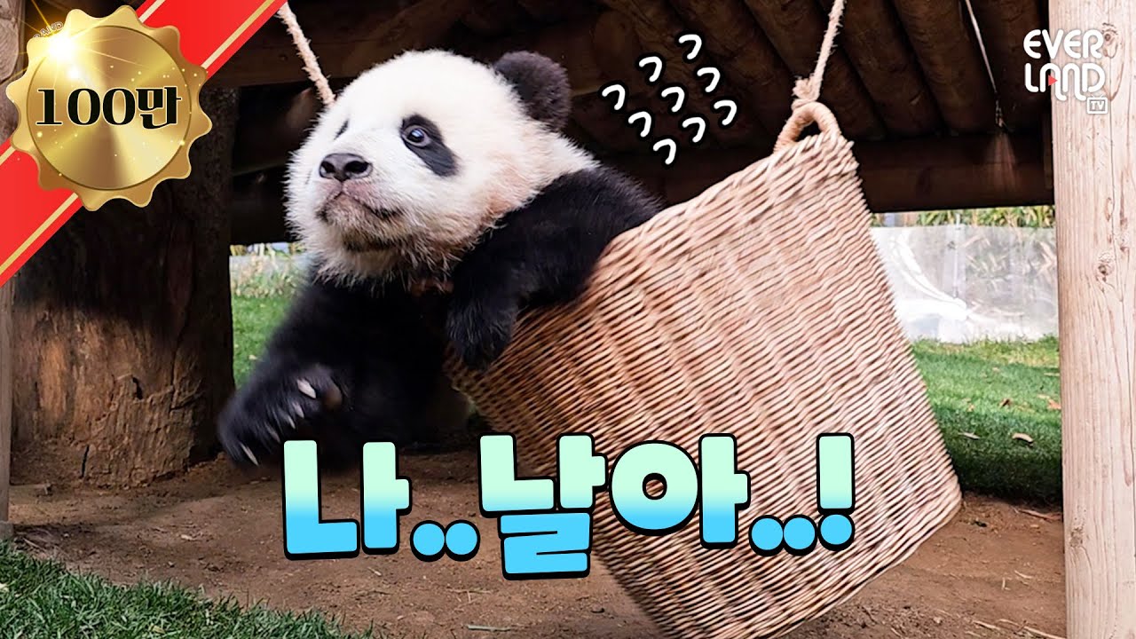 Swinging on a basket, flying twins bao💚 From Fu'sville, enjoying