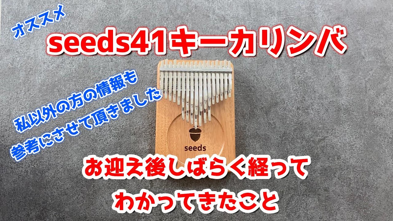 seeds41キーカリンバ「お迎え後しばらく経ってわかってきたこと