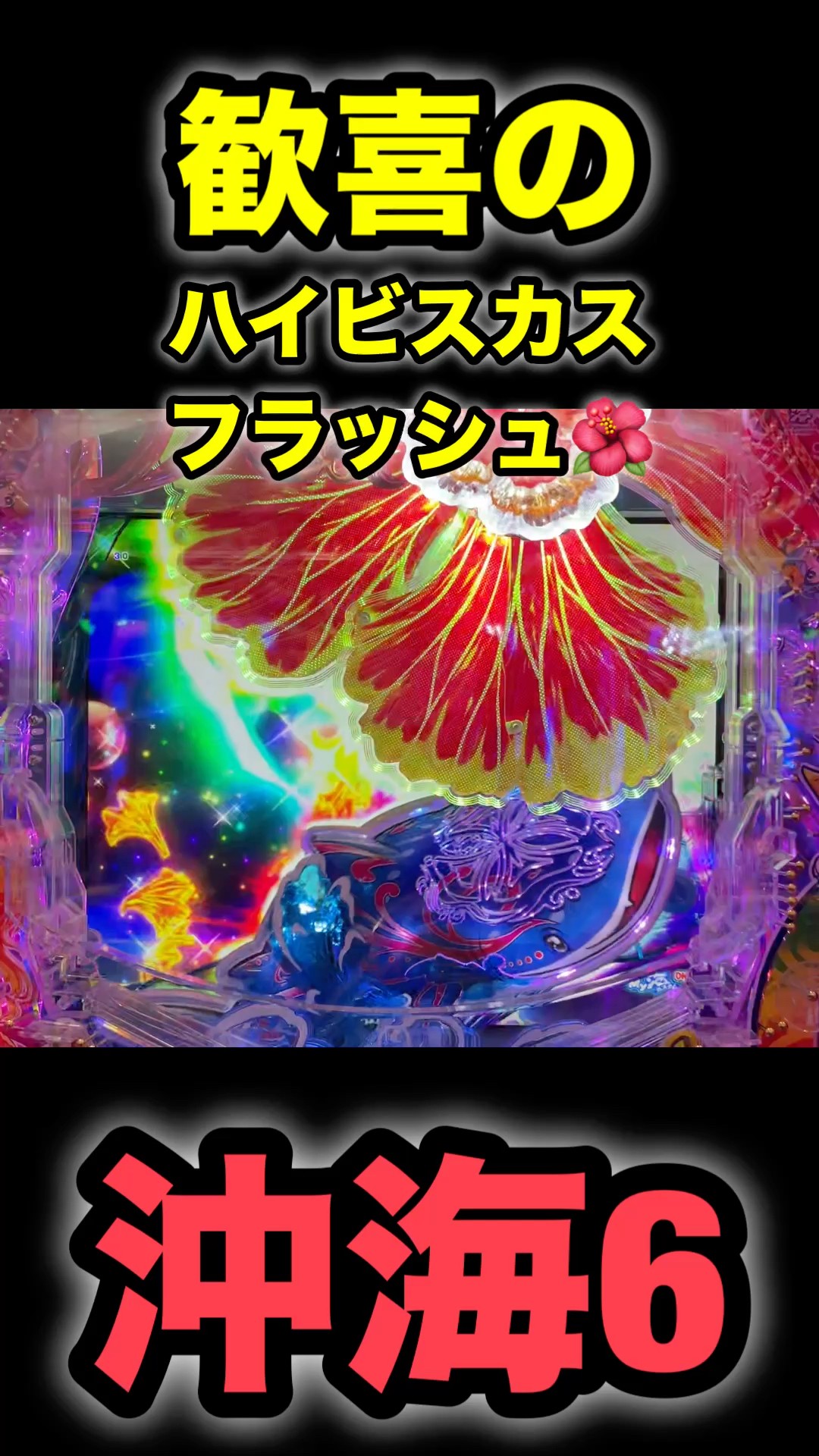沖海6】歓喜のハイビスカスフラッシュ🌺 #海物語 #ぱちぱちtv