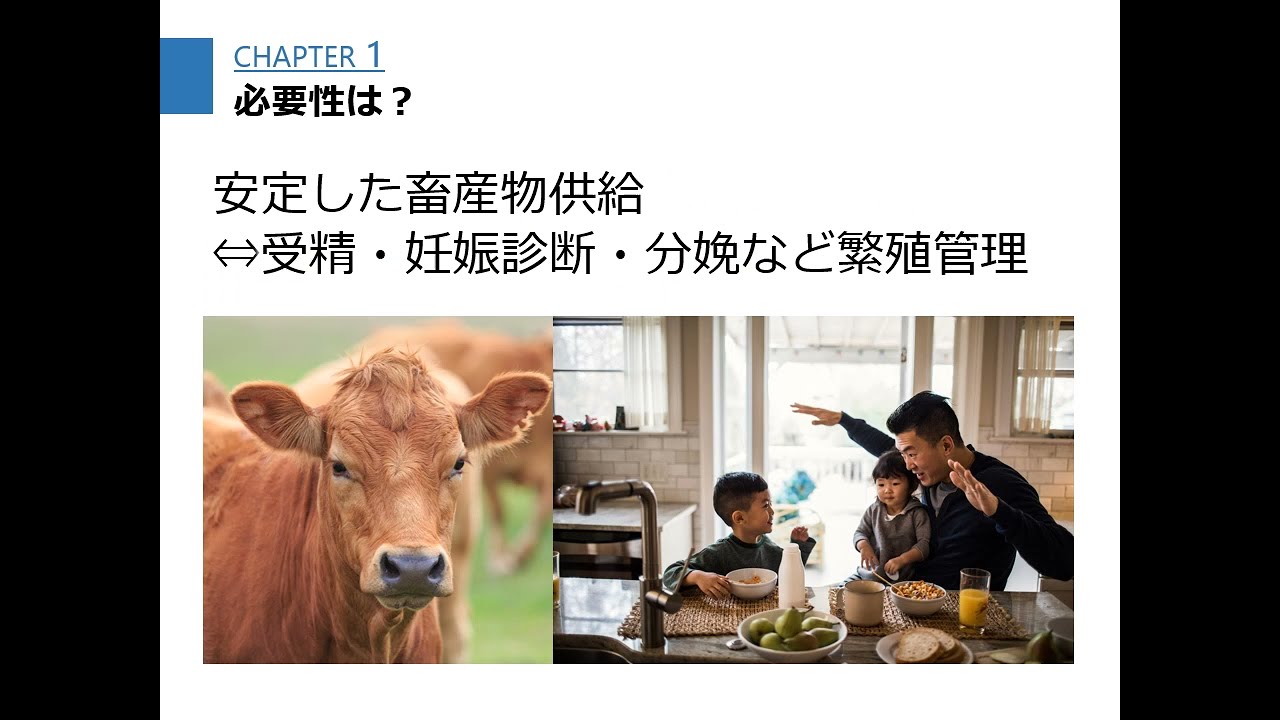 獣医臨床繁殖学研究室