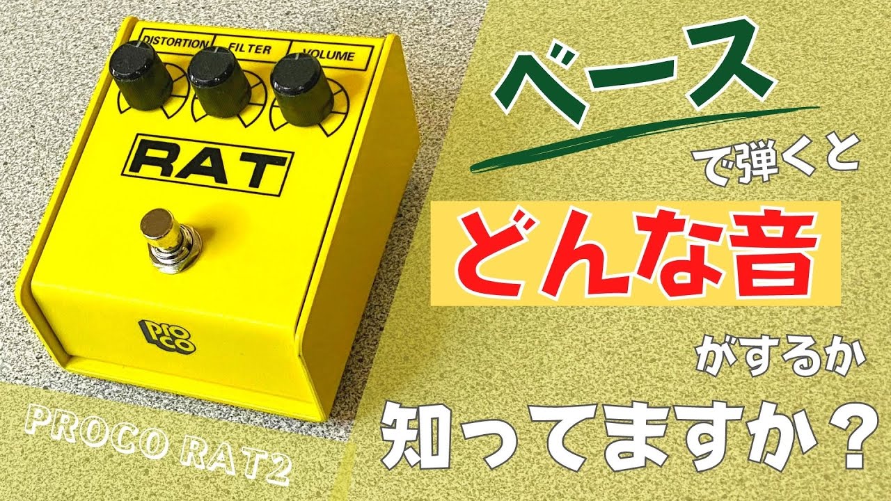 ベースでもカッコ良い歪み！】PROCO ( プロコ ) / RAT2（ラット2