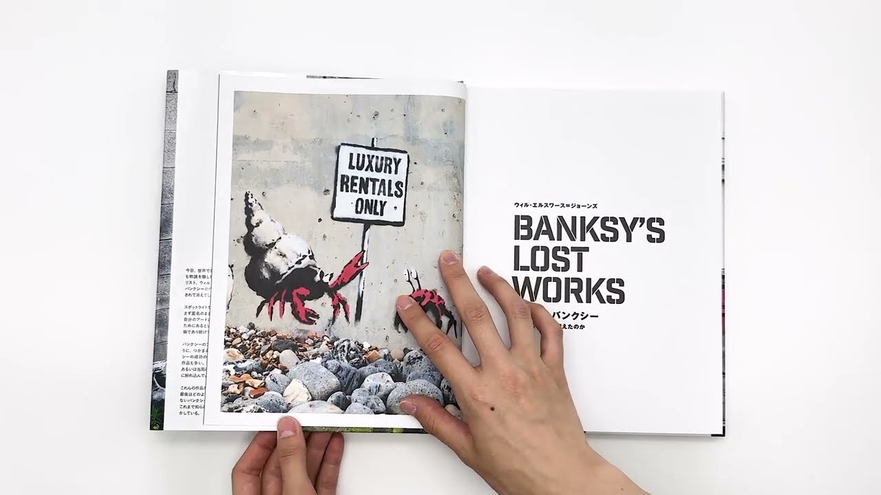失われたバンクシー あの作品は、なぜ消えたのか｜青幻舎 SEIGENSHA